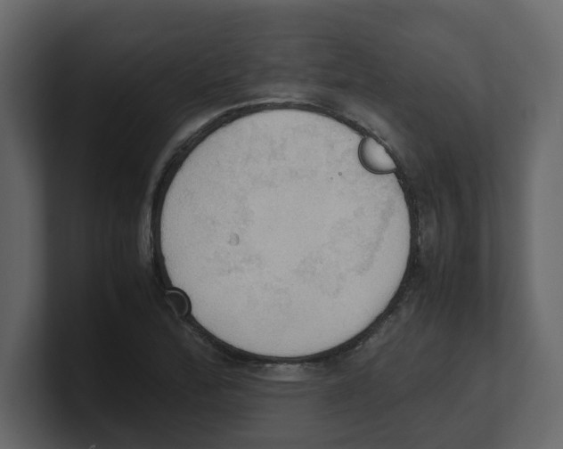 X0000100481172200807111055