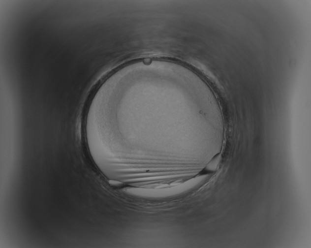 X0000100481173200807111055