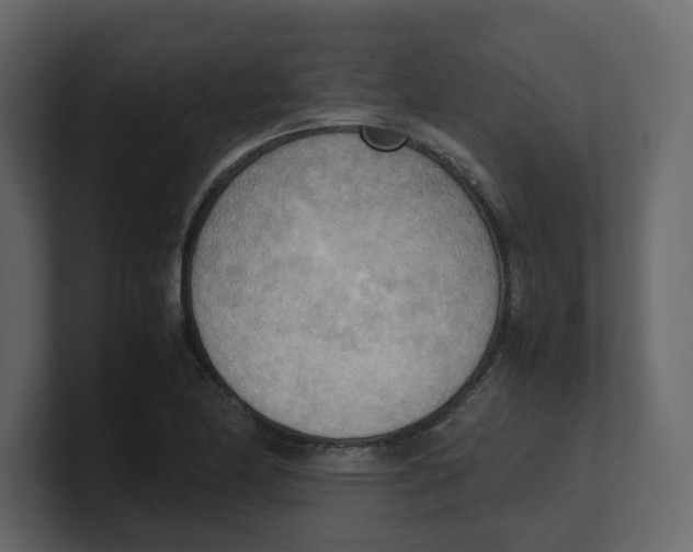 X0000100481174200807111055