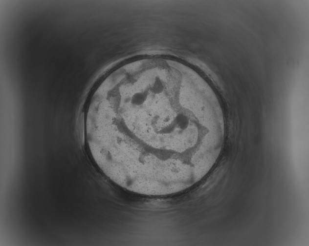 X0000100481175200807111055