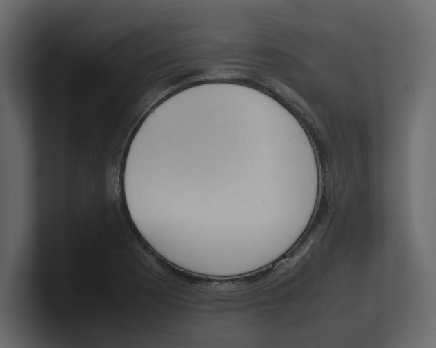 X0000100481177200807111055