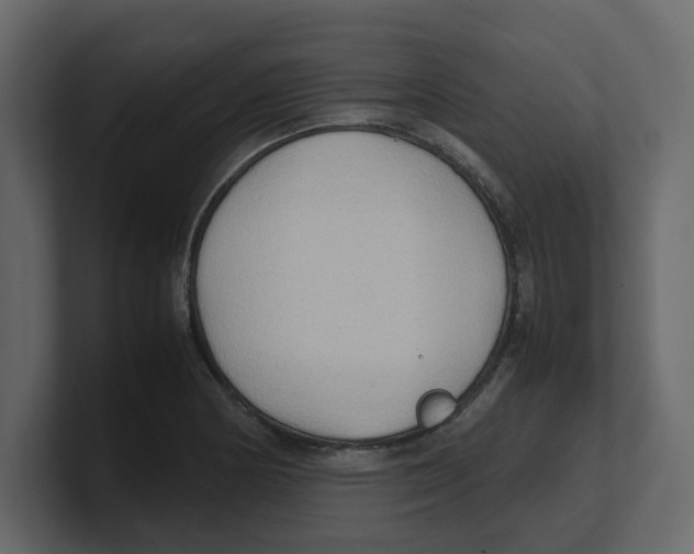 X0000100481178200807111055