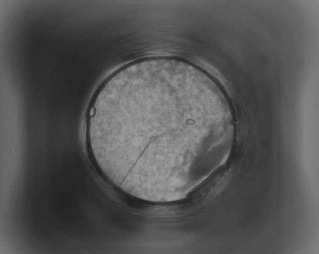 X0000100481179200807111055