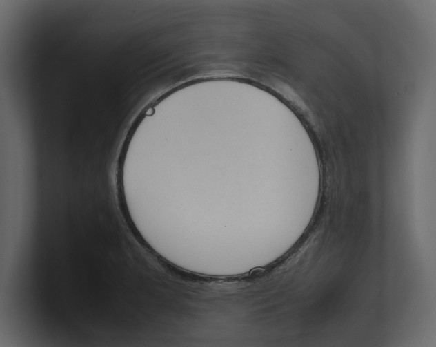 X0000100481181200807111055