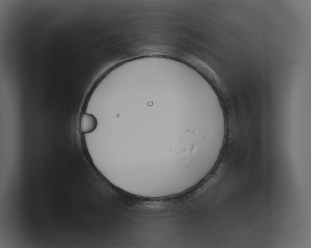 X0000100481182200807111055