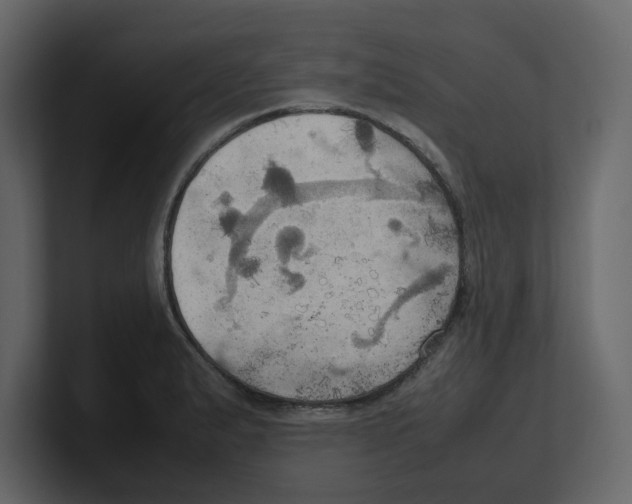 X0000100481183200807111055