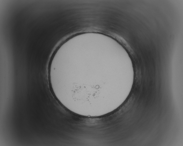 X0000100481184200807111055