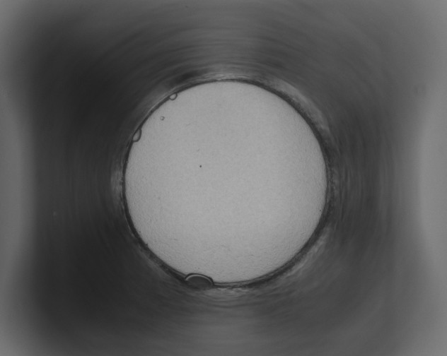 X0000100481185200807111055