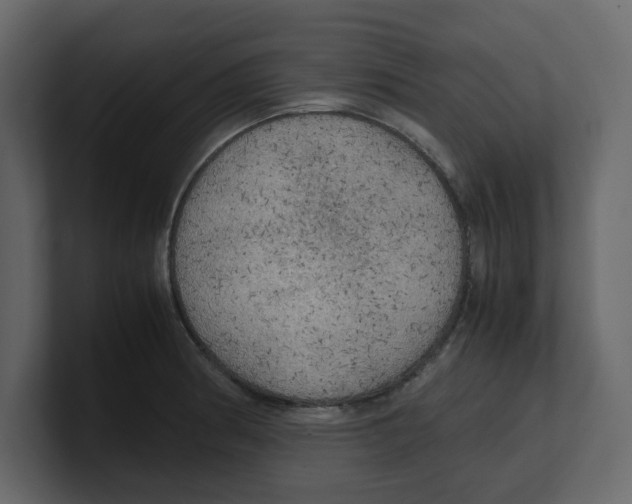 X0000100481186200807111055