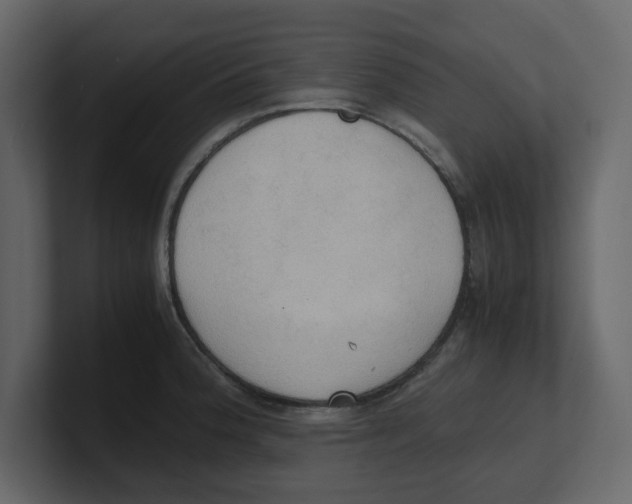 X0000100481188200807111055