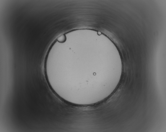 X0000100481189200807111055