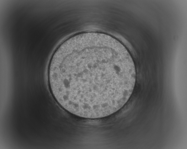 X0000100481191200807111055