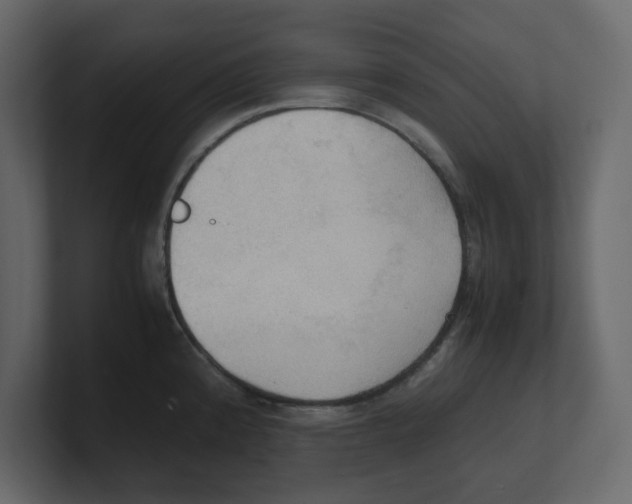 X0000100481192200807111055