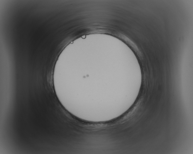 X0000100481193200807111055