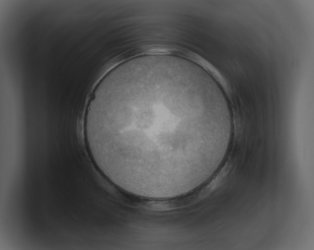 X0000100481194200807111055