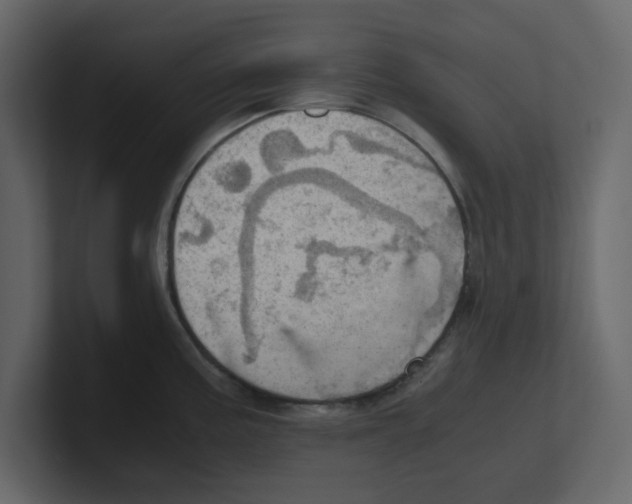 X0000100481195200807111055