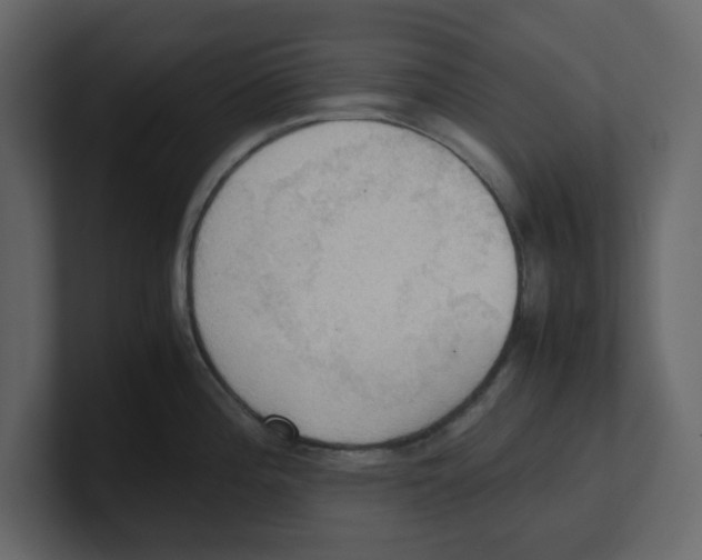 X0000100481196200807111055