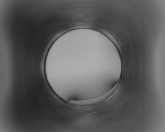 X0000100481197200807111055