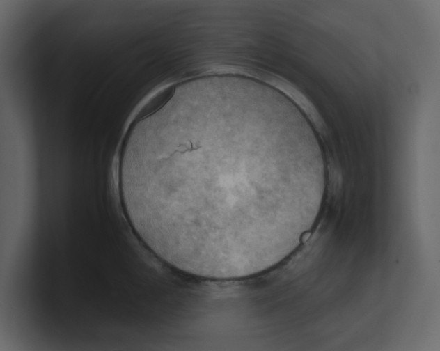 X0000100481198200807111055