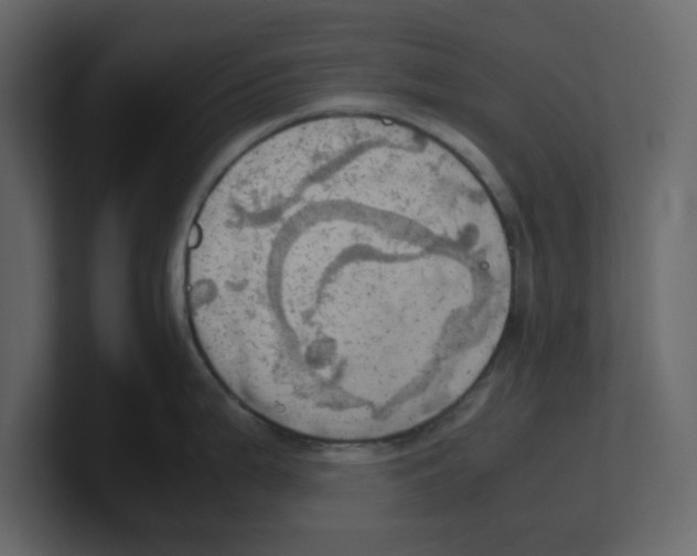 X0000100481199200807111055