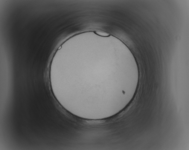 X0000100481200200807111055