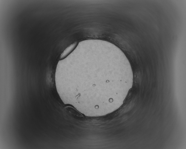 X0000100481202200807111054