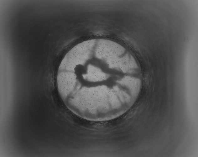 X0000100481205200807111054