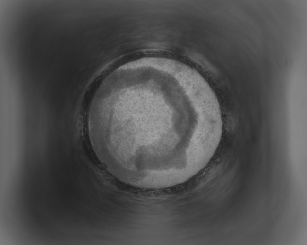 X0000100481208200807111054