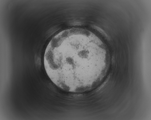 X0000100481209200807111054