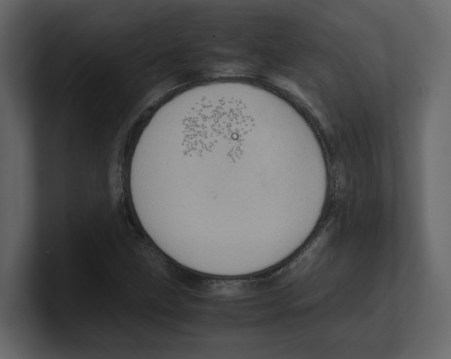 X0000100481211200807111054