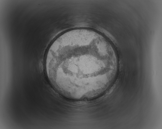 X0000100481212200807111054