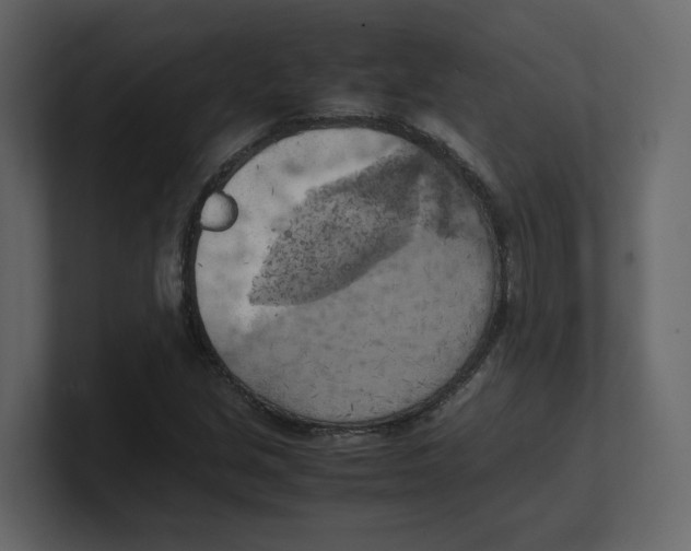 X0000100481213200807111054