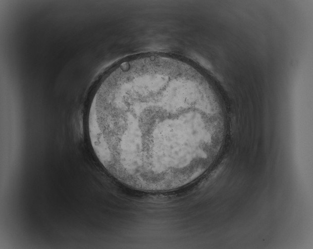 X0000100481214200807111054