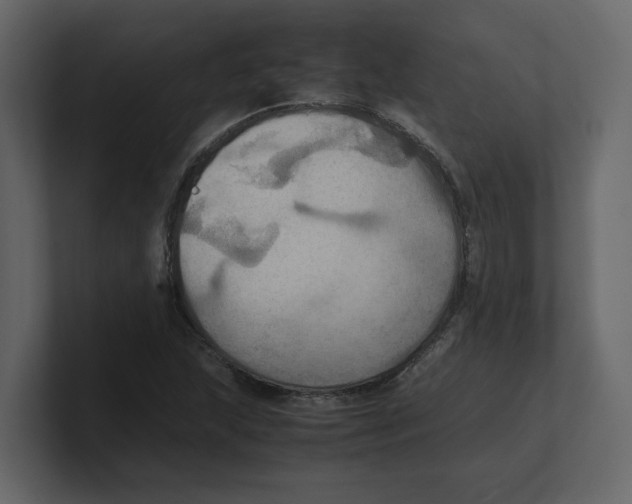 X0000100481215200807111054