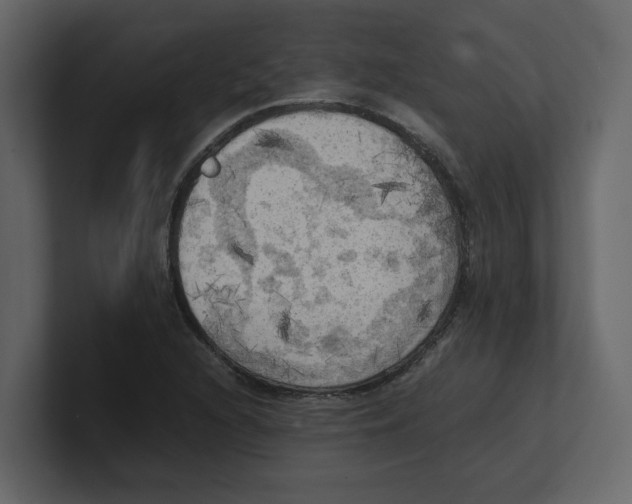 X0000100481216200807111054