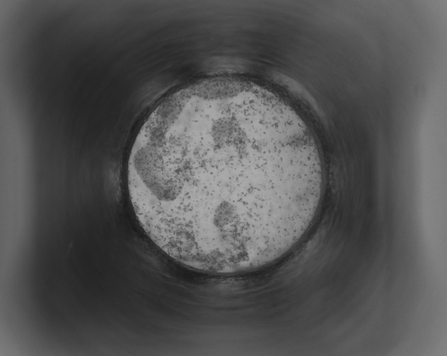 X0000100481217200807111054