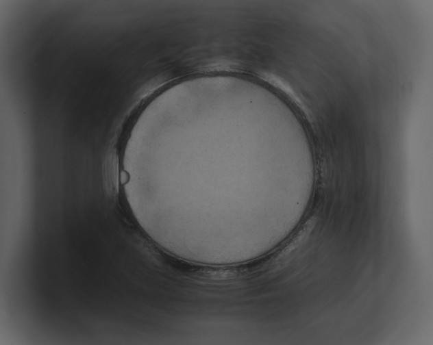 X0000100481219200807111054