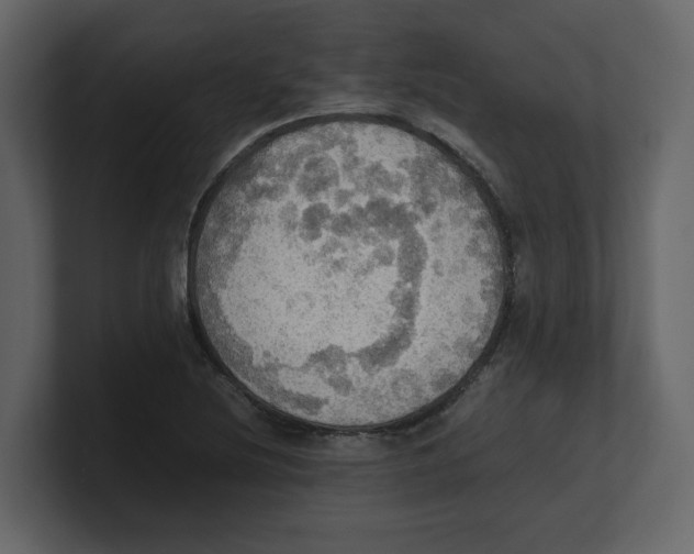 X0000100481220200807111054