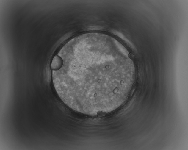 X0000100481221200807111054