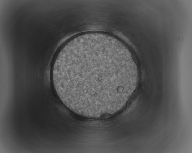 X0000100481222200807111054