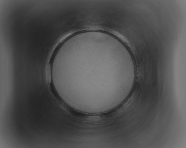 X0000100481223200807111054