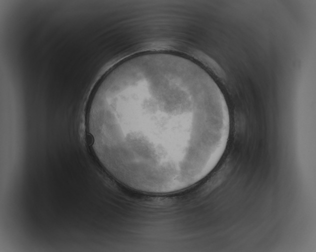 X0000100481226200807111054