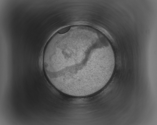 X0000100481228200807111054