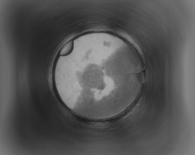 X0000100481229200807111055