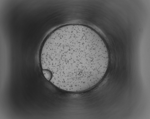 X0000100481230200807111055