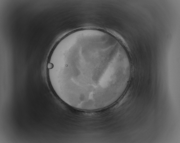 X0000100481231200807111055