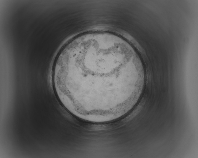 X0000100481232200807111055