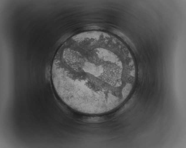 X0000100481233200807111055