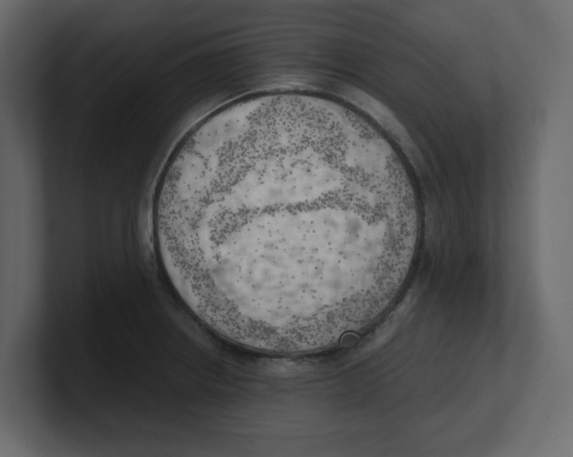 X0000100481234200807111055