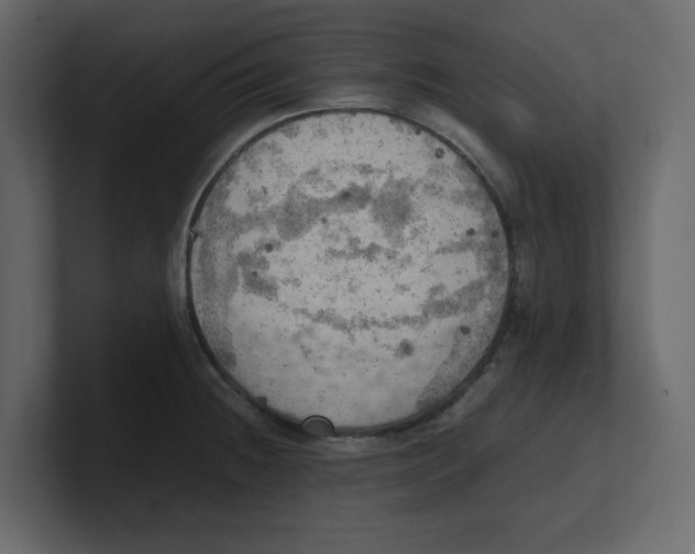 X0000100481236200807111055